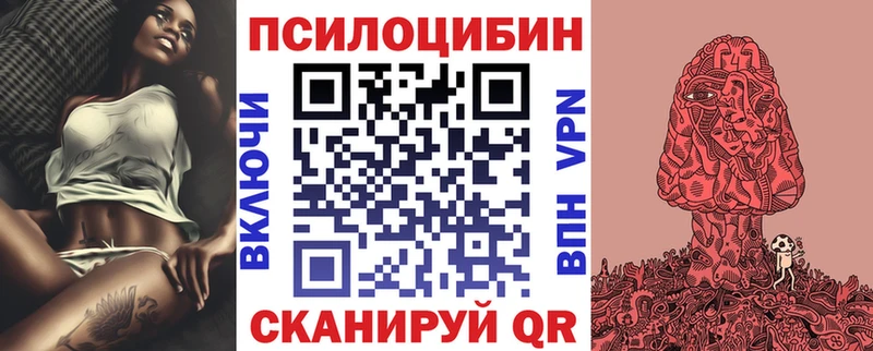 дарнет шоп  Люберцы  Псилоцибиновые грибы Psilocybe 