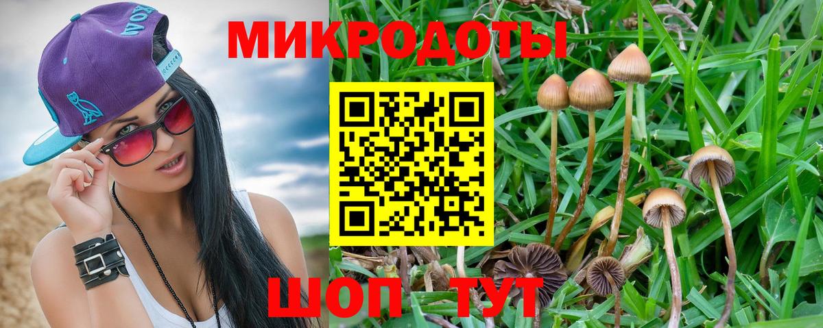 Галлюциногенные грибы мицелий Люберцы