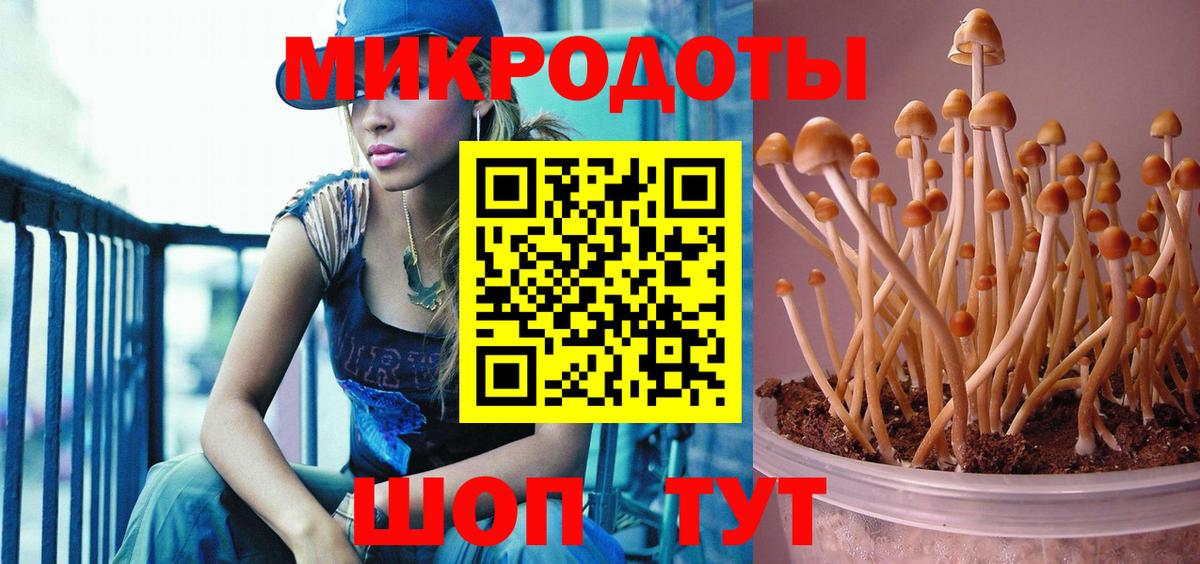 Люберцы  Псилоцибиновые грибы GOLDEN TEACHER  Вход с VPN 